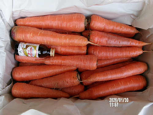 発送した１０kgの人参です。